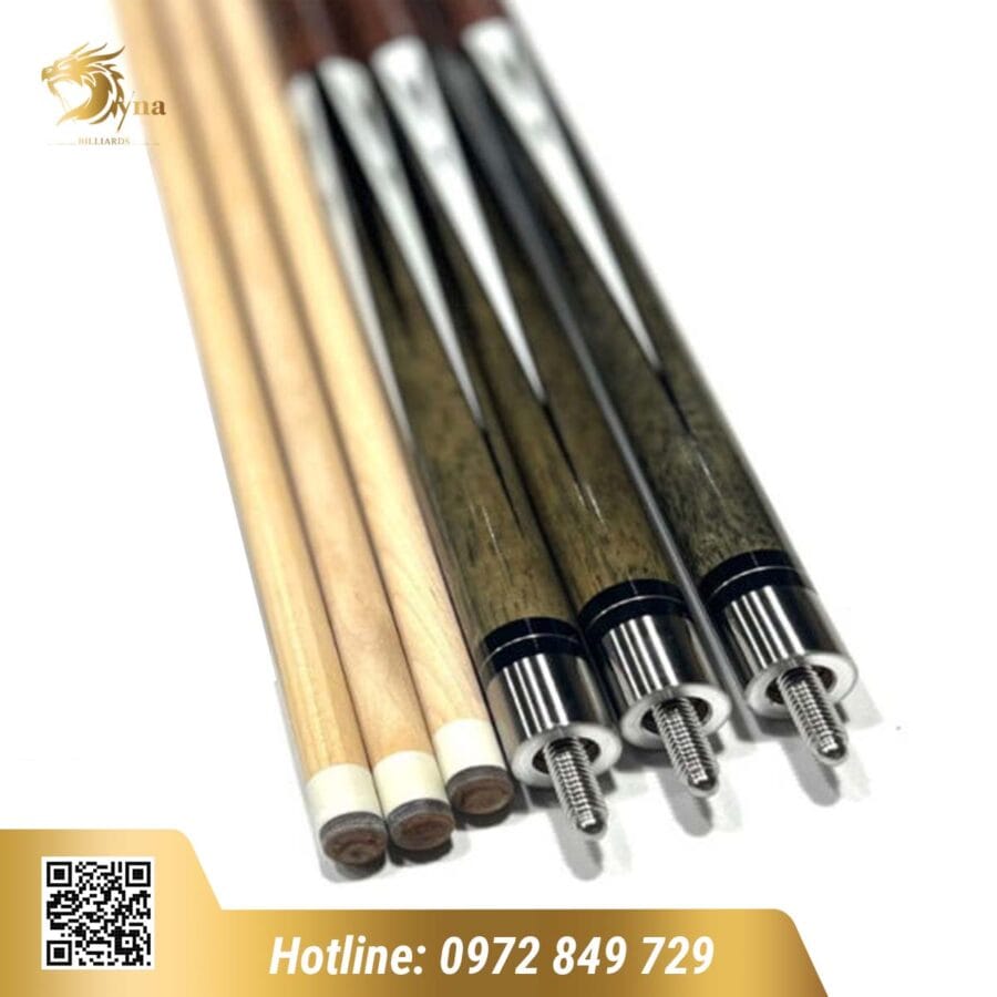 CƠ BIDA LỖ ADAM - Ảnh 2