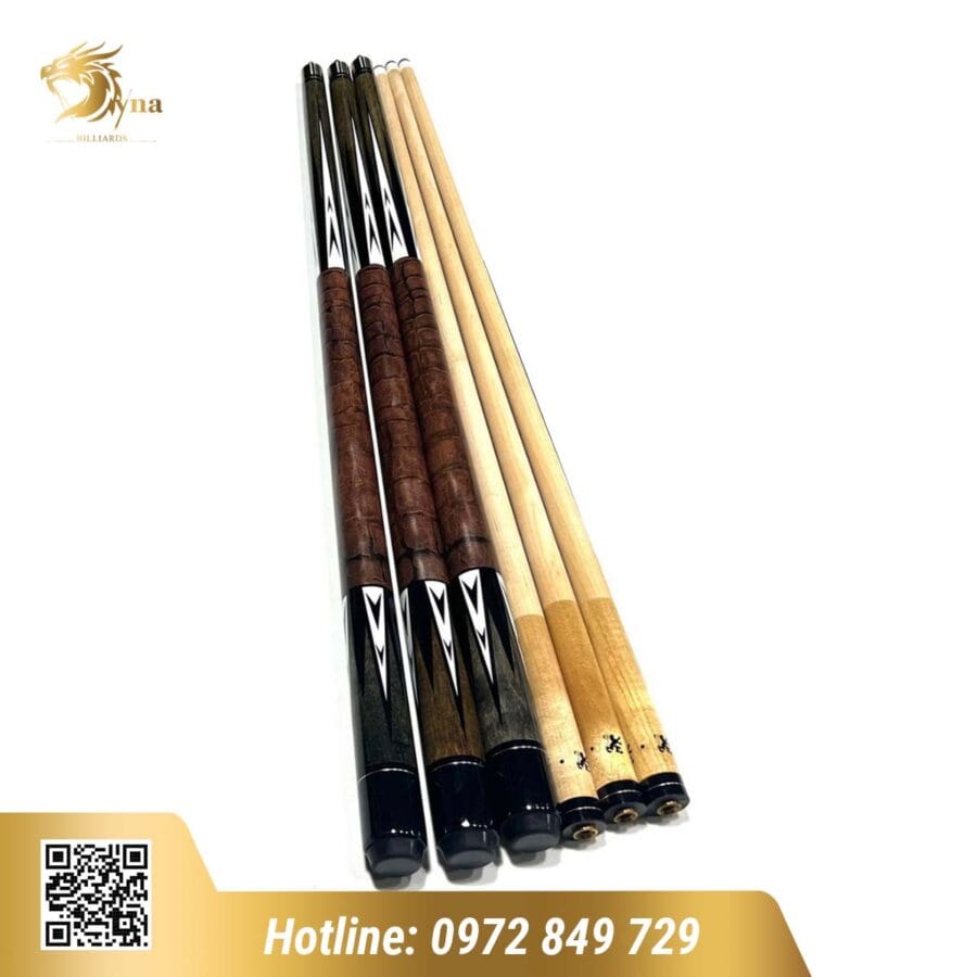 CƠ BIDA LỖ ADAM