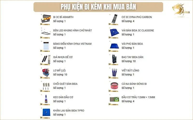 Quà tặng đi kèm khi mua bàn bida 3 băng DYNA MASTER | Dyna Vietnam