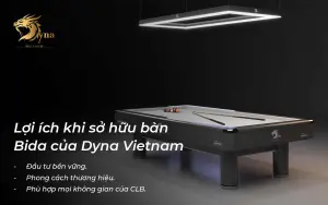 Lợi ích khi sở hữu bàn bida của Dyna Superior