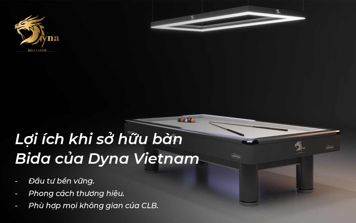 Billiard Dyna Superior