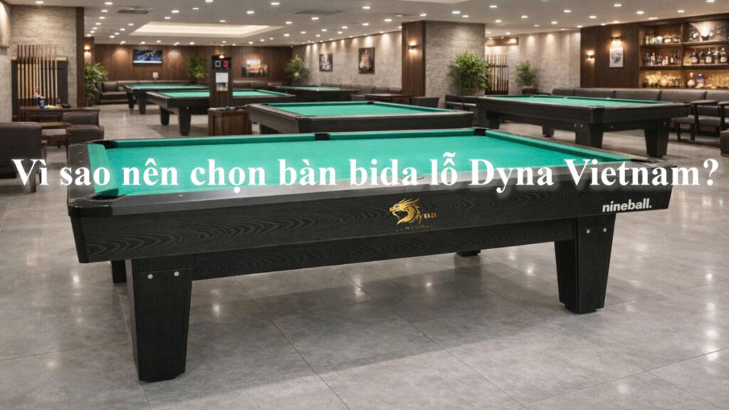 Vì sao nên chọn bàn bida lỗ Dyna Vietnam?